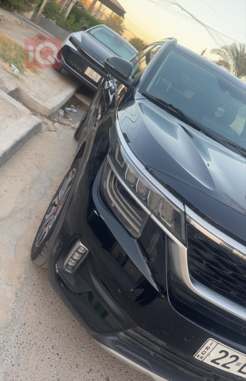 کیا سێلتۆس